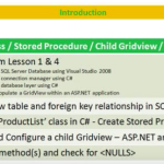 Lesson 5 - C# Class, Stored Procedure, Child Gridview, List