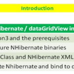 Lesson 9 - Implement NHibernate using C#, Windows Form and dataGridView